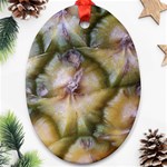 pineapple Ornament (Oval)