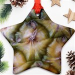 pineapple Ornament (Star)