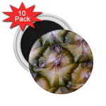 pineapple 2.25  Magnet (10 pack)