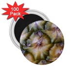pineapple 2.25  Magnet (100 pack) 
