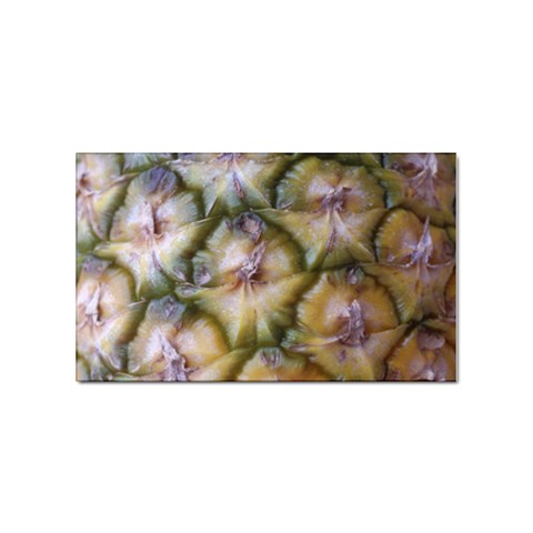 pineapple Sticker (Rectangular) from ArtsNow.com Front
