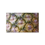 pineapple Sticker (Rectangular)