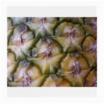 pineapple Glasses Cloth (Medium, Two Sides)