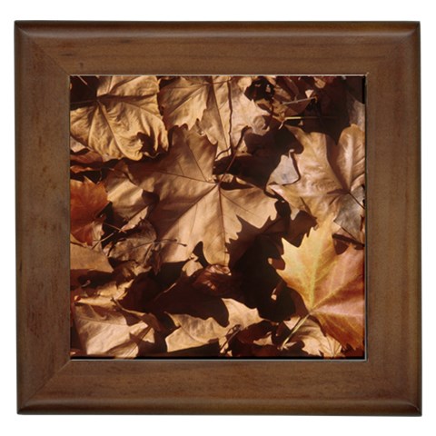 leaves Framed Tile from ArtsNow.com Front