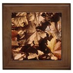 leaves Framed Tile