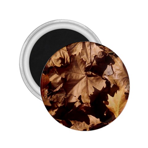 leaves 2.25  Magnet from ArtsNow.com Front