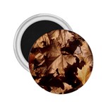 leaves 2.25  Magnet