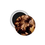 leaves 1.75  Magnet