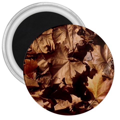 leaves 3  Magnet from ArtsNow.com Front