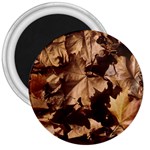 leaves 3  Magnet