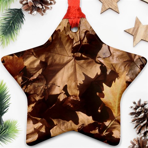 leaves Ornament (Star) from ArtsNow.com Front