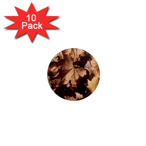 leaves 1  Mini Magnet (10 pack)  from ArtsNow.com Front