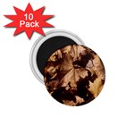 leaves 1.75  Magnet (10 pack) 