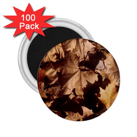 leaves 2.25  Magnet (100 pack)  from ArtsNow.com Front