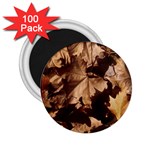 leaves 2.25  Magnet (100 pack) 