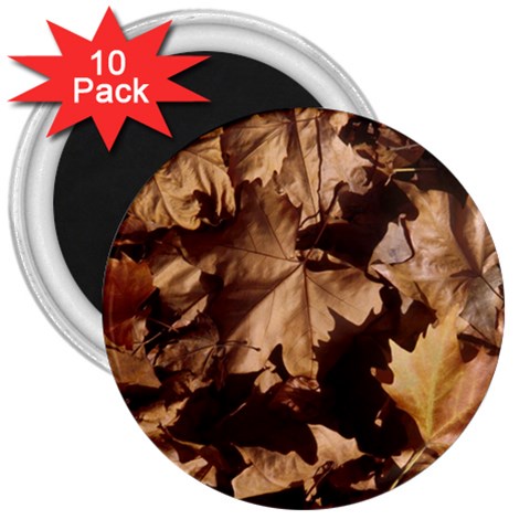 leaves 3  Magnet (10 pack) from ArtsNow.com Front
