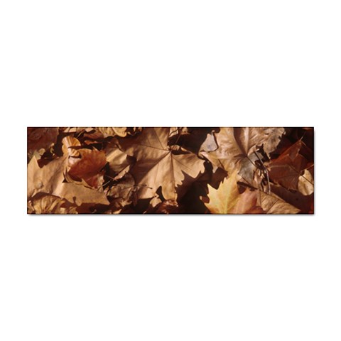 leaves Sticker (Bumper) from ArtsNow.com Front