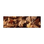 leaves Sticker (Bumper)