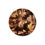 leaves Magnet 3  (Round)