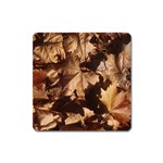 leaves Magnet (Square)