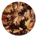 leaves Magnet 5  (Round)