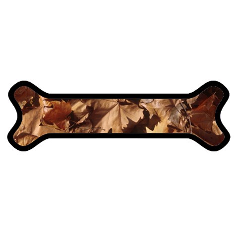 leaves Magnet (Dog Bone) from ArtsNow.com Front