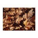leaves Sticker A4 (10 pack)