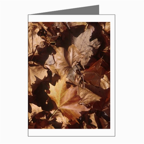 leaves Greeting Card from ArtsNow.com Left