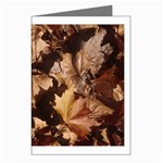 leaves Greeting Cards (Pkg of 8)