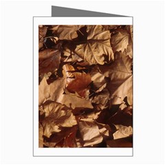 leaves Greeting Cards (Pkg of 8) from ArtsNow.com Right