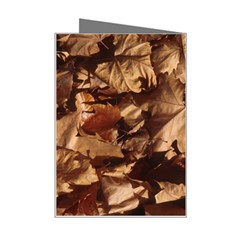 leaves Mini Greeting Card from ArtsNow.com Right