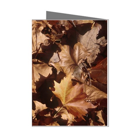 leaves Mini Greeting Cards (Pkg of 8) from ArtsNow.com Left