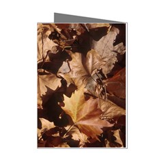leaves Mini Greeting Cards (Pkg of 8) from ArtsNow.com Left
