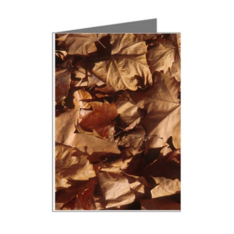 leaves Mini Greeting Cards (Pkg of 8) from ArtsNow.com Right