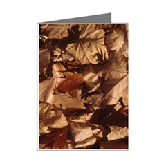 leaves Mini Greeting Cards (Pkg of 8) from ArtsNow.com Right