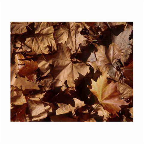 leaves Glasses Cloth (Small) from ArtsNow.com Front