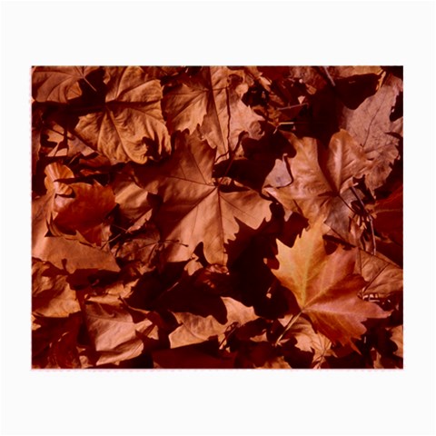 leaves Glasses Cloth (Small) from ArtsNow.com Front