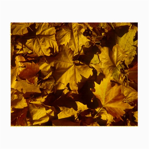 leaves Glasses Cloth (Small) from ArtsNow.com Front