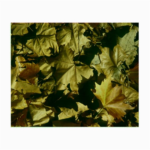 leaves Glasses Cloth (Small) from ArtsNow.com Front