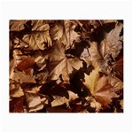 leaves Glasses Cloth (Small)