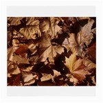 leaves Glasses Cloth (Medium, Two Sides)