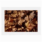 leaves Glasses Cloth (Large)