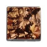 leaves Memory Card Reader (Square)
