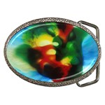colours-h6w9 Belt Buckle