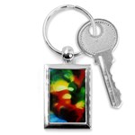 colours-h6w9 Key Chain (Rectangle)