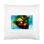 colours-h6w9 Cushion Case (Two Sides)