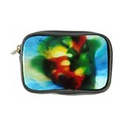 colours-h6w9 Coin Purse