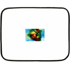 colours 35 x27  Blanket Front