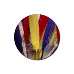 colour-05 Rubber Round Coaster (4 pack)