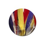 colour-05 Magnet 3  (Round)